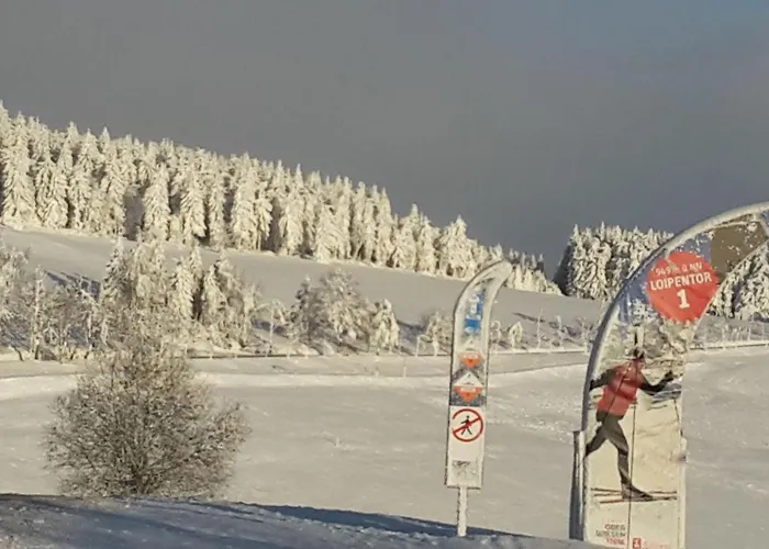 Ferienwohnungen-am-schloessel-in-oberwiesenthal Apartmán *